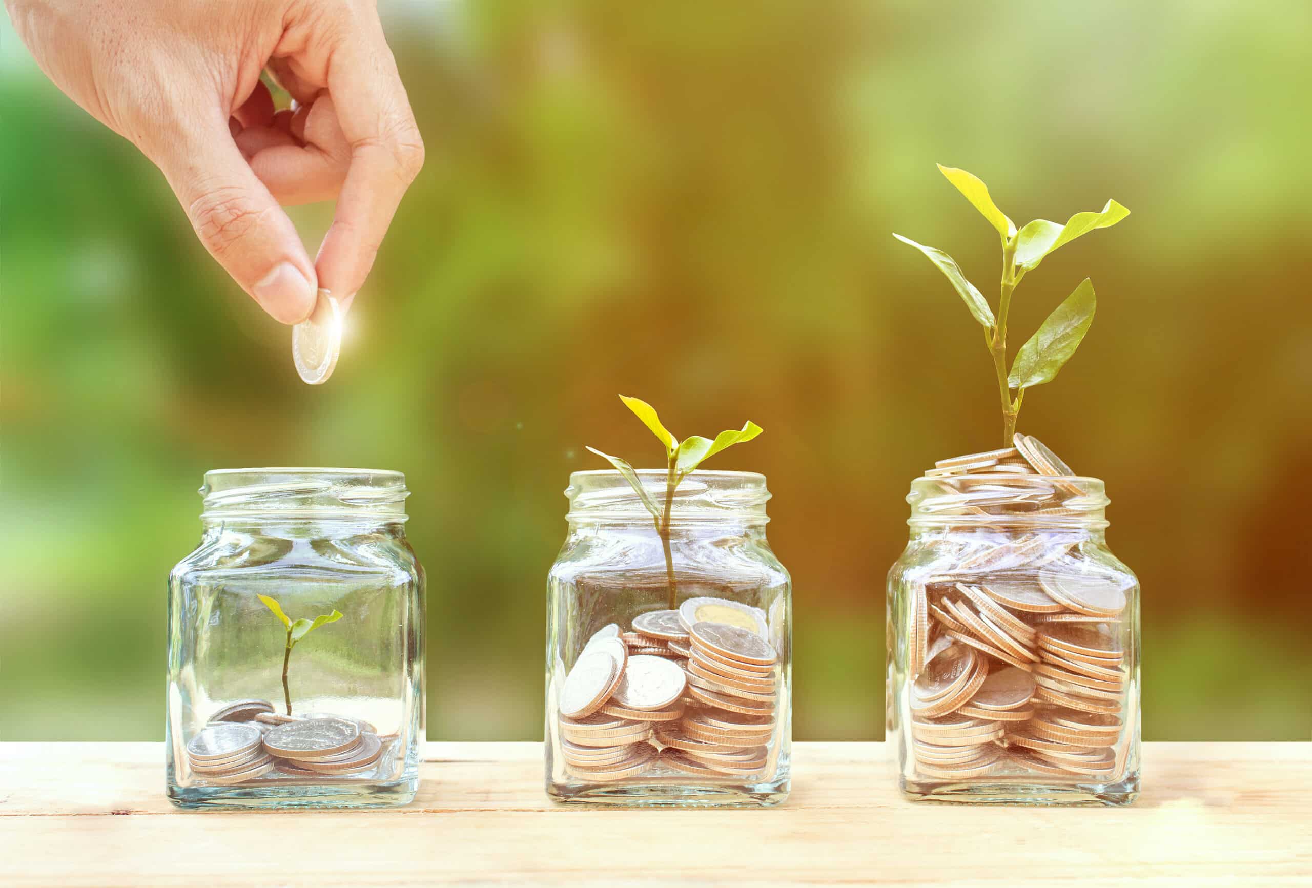 Turning Income Into Long-Term Stability with Wealth Management Services