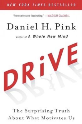 Drive Cover